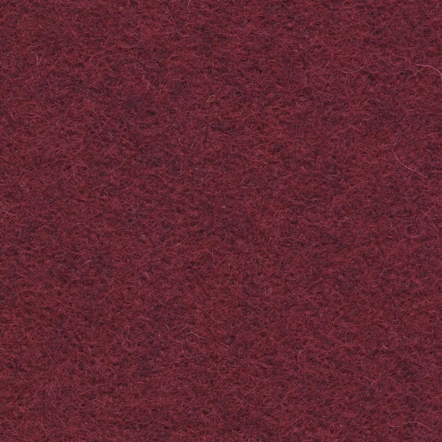 Beterraba
